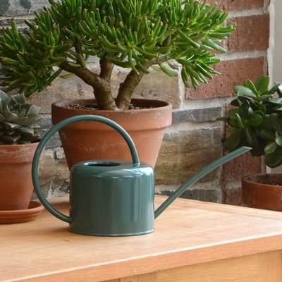 Kleine Metalen Binnengietkan 1,1L - Ideaal voor Kamerplanten