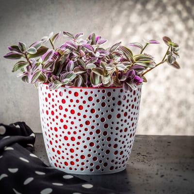KADAX Bloempot van kunststof, diameter 11-21 cm, 5 kleuren, eenvoudige pot, robuuste plantenpot, plantenbak, ronde bloempotbescherming voor varen, diameter 19 cm, rood