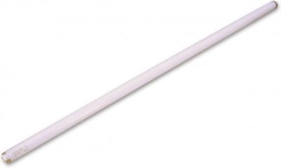 Philips Special shatterproof TL-D Actinic Blacklight insecten TL-buis 15 Watt, 438mm lengte met 26mm doorsnee.
