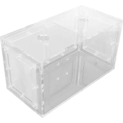 Boîte d'isolement pour l'élevage de poissons avec côté en maille transparente Incubateur pour aquarium Poissons d'ornement