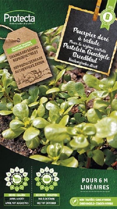 Protecta Groente zaden: Postelein Goudgele Breedblad