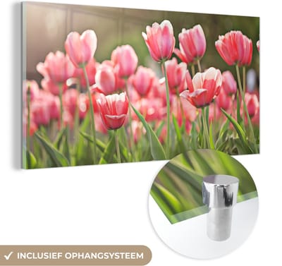 MuchoWow® Glasschilderij 40x20 cm - Schilderij acrylglas - Tulpen - Zon - Lente - Foto op glas - Schilderijen