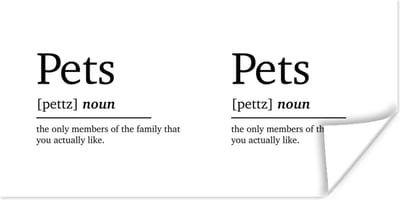 Poster Spreuken - Woordenboek - Pets - Quotes - Huisdieren definitie - 120x60 cm