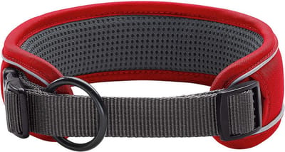 Hondenhalsband Hunter Divo Rood (25-35 cm)
