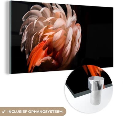 MuchoWow® Glasschilderij 40x20 cm - Schilderij acrylglas - Flamingo - Veren - Licht - Macro - Foto op glas - Schilderijen