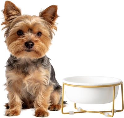 Hoge Keramische Honden- en Kattenvoerbak met Metalen Stand - Ideaal voor Voeding en Water - 400 ml / 200 g - Wit en Duurzaam Design
