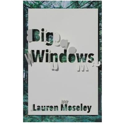 Big Windows - Lauren Moseley
