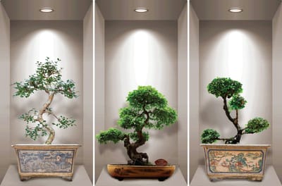 Sticker met 3D-effect van Japanse bonsaibomen, 60 x 90 cm