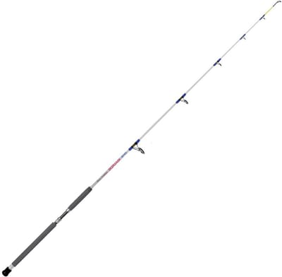 Expert Predator Skipjack Bodemvissen Hengel Zilver 2.40 m / 100-300 g