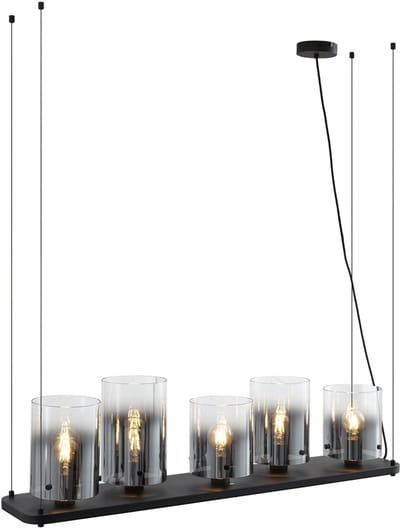 QAZQA hybrid - Moderne Hanglamp voor boven de eettafel | in eetkamer - 5 lichts - L 101.5 cm - Zwart - Woonkamer | Slaapkamer | Keuken