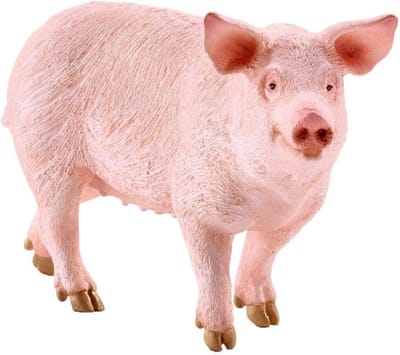 Schleich 17071 Varken Zeug