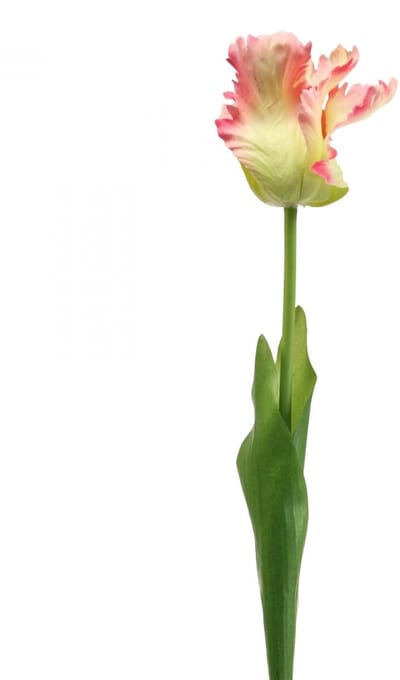 Kunstbloem, papegaaitulp roze, lentebloem 63cm