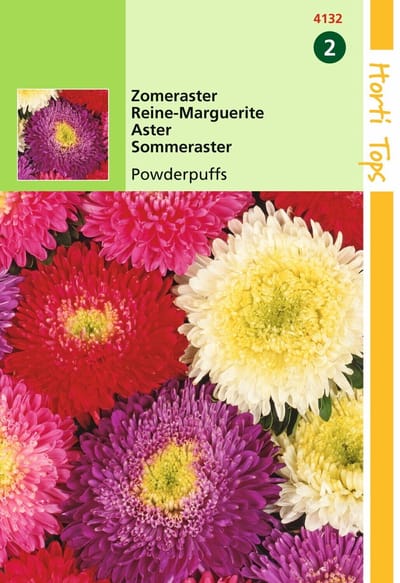 2 stuks - Hortitops - Callistephus Chinensis Boeket Powderpuff Gemengd