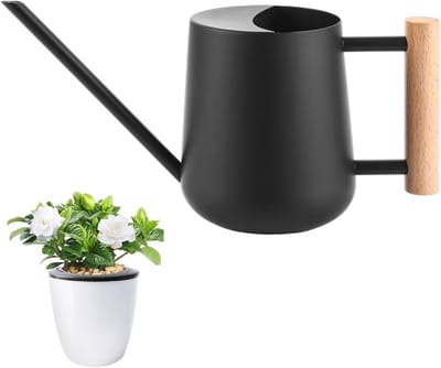 Zwarte 1 liter gieter voor kamerplanten en tuinieren - Roestvrij staal met houten handvat