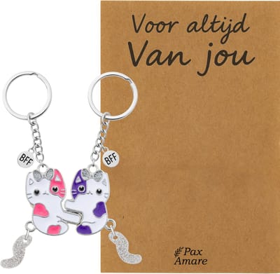 Koppel Sleutelhanger voor 2 'Voor altijd van jou' - Magnetische Katjes - Sleutelhanger set op Cadeau Kaartje - Zilverkleurig - Persoonlijke Hanger - Pax Amare