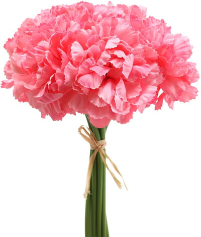 Anjer Kunst Roze 25cm 7st Kunstplant als echt!, 7 stuks