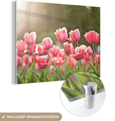 MuchoWow® Glasschilderij 40x30 cm - Schilderij acrylglas - Tulpen - Zon - Lente - Foto op glas - Schilderijen