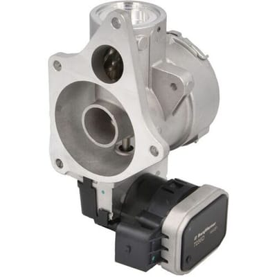 EGR-klep BORG WARNER 7256D