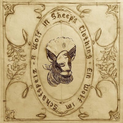 Josephine Foster - A Wolf In Sheep's Clothing (CD)