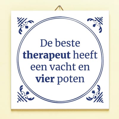 Tegeltje De Beste Therapeut van Ditverzinjeniet.nl