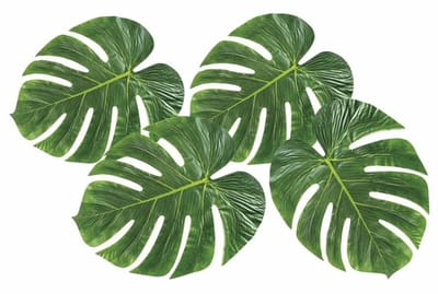 Hawaii Tropical Decoratie - 4x stuks - Monstera palm bladeren - 15 x 35 cm - zomerse versiering