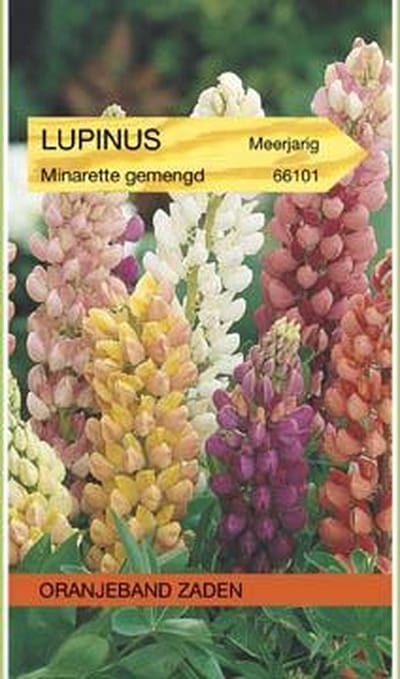 Lupinus, Lupine Minarette gemengd