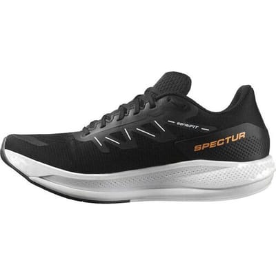 Salomon Spectur Hardloopschoenen Zwart EU 44 2/3 Man