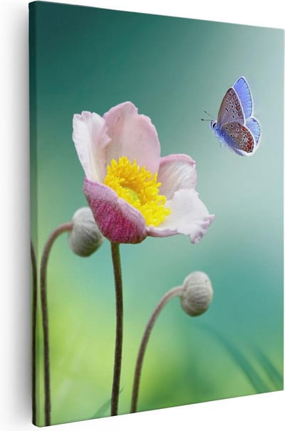Artaza Canvas Schilderij Vlinder Op Bloem - 40x50 cm - Wanddecoratie Bloemen - Schilderijen Op Canvas Voorjaar