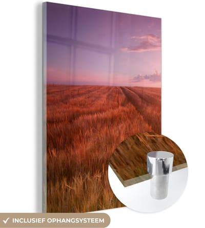 MuchoWow® Glasschilderij 30x40 cm - Schilderij acrylglas - Grasveld - Zon - Avond - Landschap - Foto op glas - Schilderijen