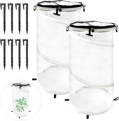 Mini Kassen Set - Plantenbeschermers - Planten Kweken - Pop-up Ontwerp - 2 Stuks - Transparant