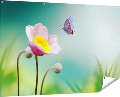 Gards Tuinposter Roze Anemoon Bloem met een Blauwe Vlinder - 150x100 cm - Tuindoek - Tuindecoratie - Wanddecoratie buiten - Tuinschilderij