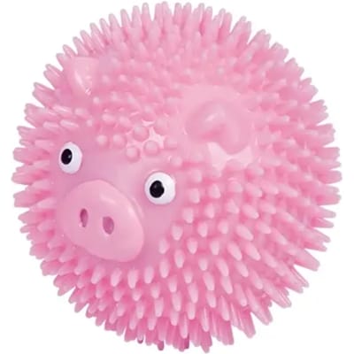 Hondenspeelbal met stekels varken in TPR Nobby Pet