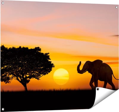 Gards Tuinposter Olifant Silhouet tijdens Zonsondergang - 100x80 cm - Tuindoek - Tuindecoratie - Wanddecoratie buiten - Tuinschilderij