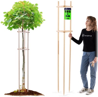 KADAX boomsteun 195 cm van stevig hout, boomsteun voor het stevig vastzetten van jonge bomen en struiken, driepotige plantensteun van beukenhout voor in de tuin (naturel)