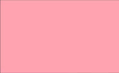 Vlag roze 70x100cm
