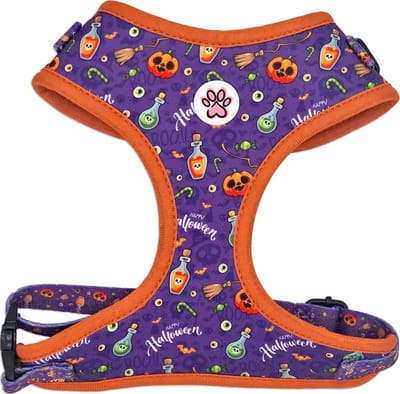 Halloween Hondentuigje - Zacht Tuigje / Honden Harnas - Ook Voor Kleine Hond / Puppy - Paars - Pompoenen - Pumpkin Pooch Parade - Paw My God! - Maat M