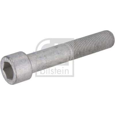 Schroef, remschijf FEBI BILSTEIN 195479