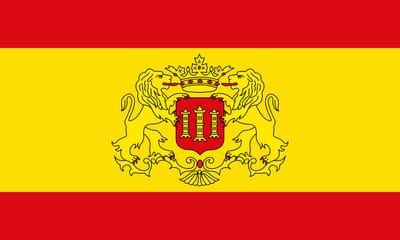Vlag Lingen 100x150cm