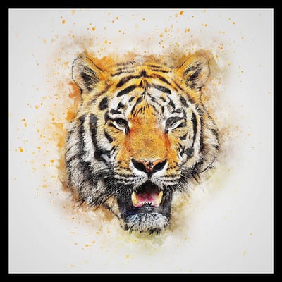 Allernieuwste.nl® Canvas Schilderij Prachtige Witte Tijger - Moderne Kunst aan je Muur - Kleur - 60 x 60 cm