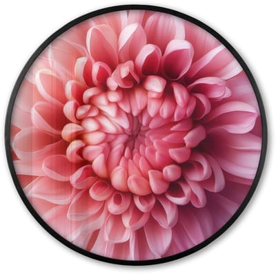 Poster in lijst Rond - Fotolijst 60x60 cm - Posters - Dahlia - Bloem - Close up - Roze - Ronde posterlijst zwart - Decoratie - Wanddecoratie woonkamer - Muurdecoratie slaapkamer