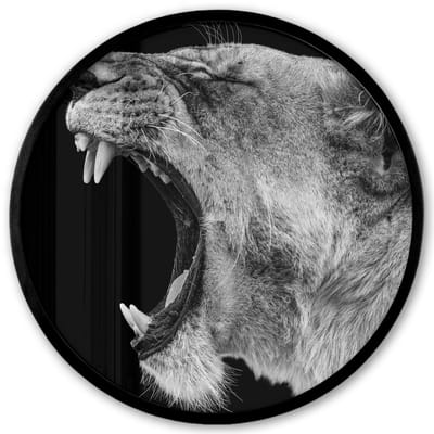 Poster in lijst Rond - Fotolijst 40x40 cm - Posters - Dieren - Leeuw - Zwart - Wit - Portret - Ronde posterlijst zwart - Decoratie - Wanddecoratie woonkamer - Muurdecoratie slaapkamer