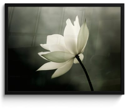Poster in lijst - Fotolijst 80x60 cm - Posters - Wit - Lotus - Donker - Bloem - Posterlijst zwart - Decoratie - Wanddecoratie woonkamer - Muurdecoratie slaapkamer
