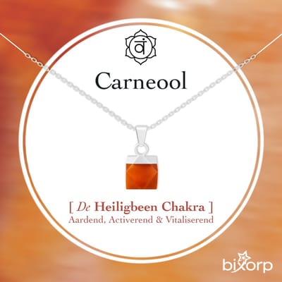 Bixorp Carneool Blokje Ketting - S925 Zilver + Edelsteen Hanger - Spirituele Chakra Ketting met Cadeau Kaartje - 45cm + 5cm verstelbaar