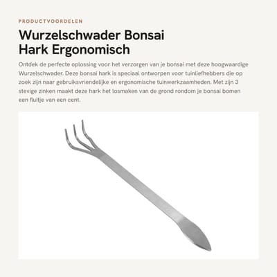 Dailygoods- Wurzelzwabber Roestvrij Staal - Bonsai Hark - Ergonomisch Ontwerp - 3 Tanden - Tuin Gereedschap - Afmetingen 24 x 4 cm - Bonsaihark