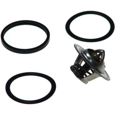 Borgwarner (Wahler) Thermostaat, koelvloeistof WAHLER 3136.82D50