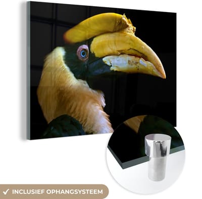 MuchoWow® Glasschilderij 120x80 cm - Schilderij acrylglas - Vogel - Snavel - Zwart - Foto op glas - Schilderijen