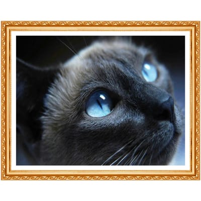 Diamant Schilderij Kruissteek Kit Dier Borduurwerk Zwarte Kat 3D Volledige Ronde Diamant Diy Tekening 20X30CM