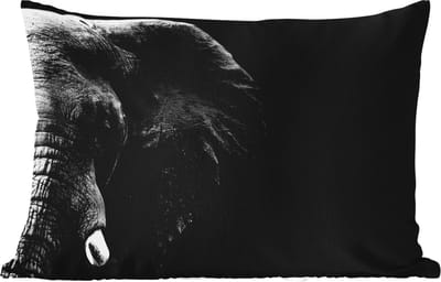 Buitenkussens - Tuin - Dieren - Olifant - Wild - Zwart - Wit - 50x30 cm
