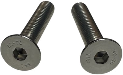 Deltafix - inbusbout platkop rvs A2 - M8 x 40 mm - DIN 7991 - 2 stuks