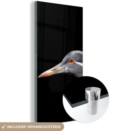 MuchoWow® Glasschilderij 20x40 cm - Schilderij acrylglas - Vogel - Dieren - Portret - Foto op glas - Schilderijen